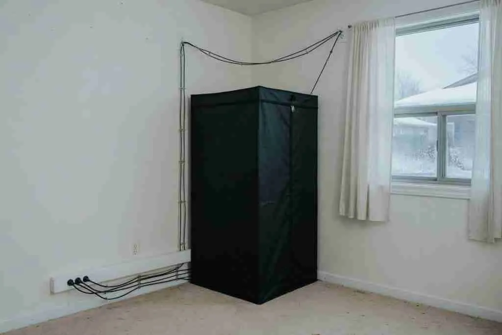 Closed grow tent in a spare room corner with cords run along the wall