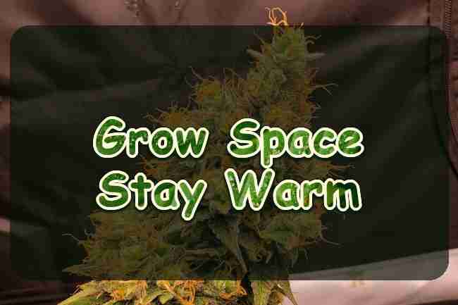 How to Keep Your Cannabis Grow Space Warm