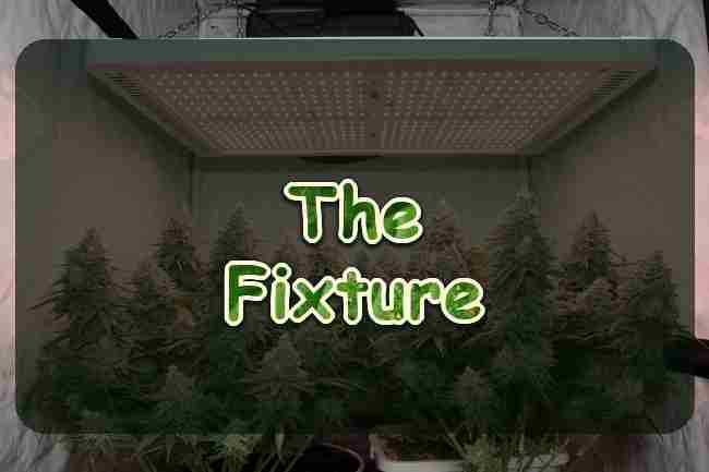 An LED board over flowering cannabis in a tent
