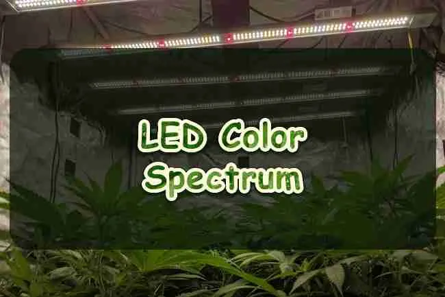 LED Color Spectrum Cannabis