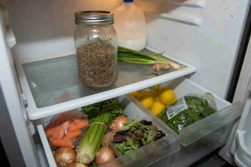 Sealed mason jar of cannabis seeds on a back refrigerator shelf