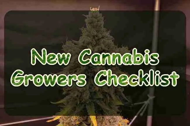 New Cannabis Growers Checklist
