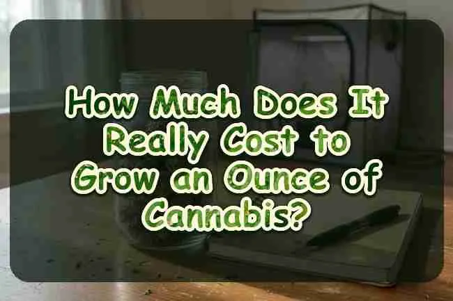 A jar of dried cannabis beside a blank notebook and a small grow tent