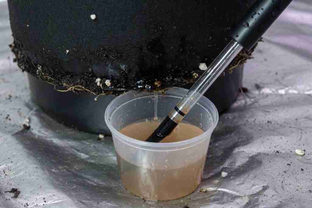 pH pen in a cup of runoff dripping from a cannabis fabric pot