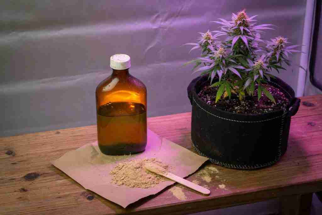 Unlabeled amber bottle of liquid feed, tan inoculant powder on kraft paper, and a flowering cannabis plant in a fabric pot under tent light