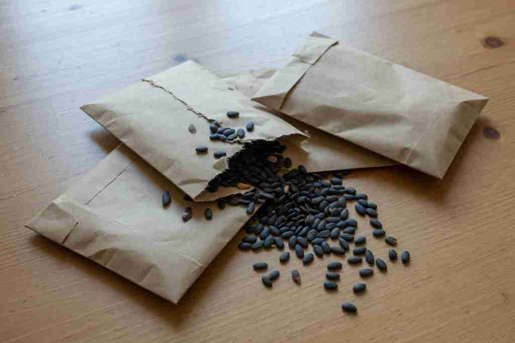Plain paper envelopes with dark seeds on a wooden table