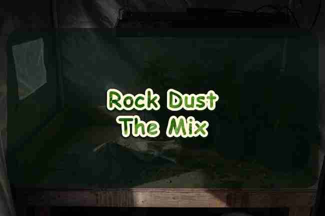 Gray mineral dust piled on a wooden grow-tent bench beside four fabric pots
