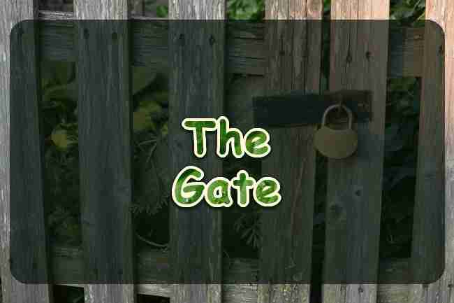 A brass padlock on a weathered garden gate