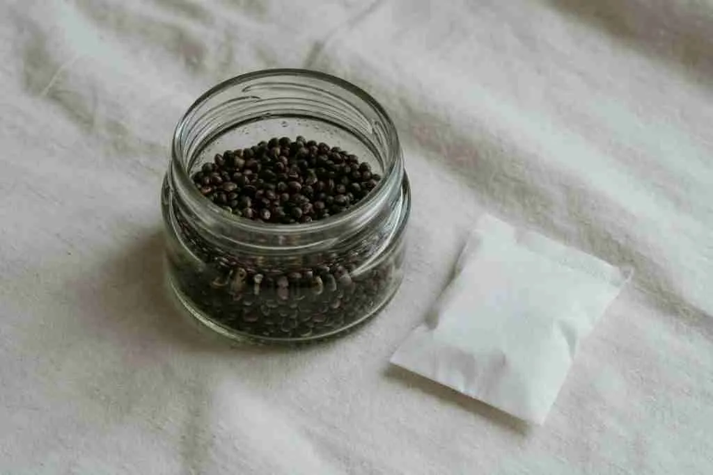 Cannabis seeds in a glass jar beside a dry packet
