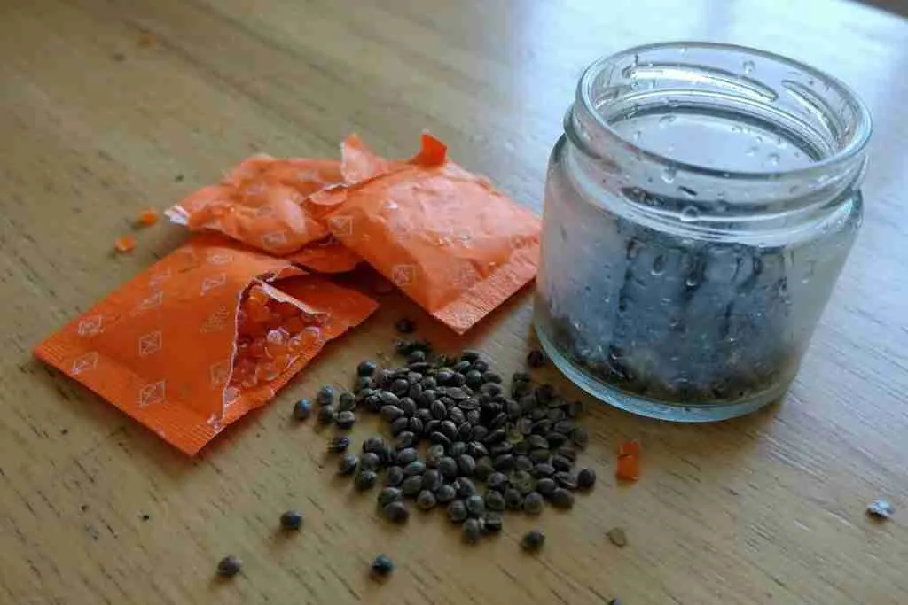 Silica gel packets beside cannabis seeds and a fogged glass jar