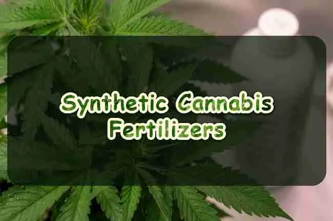 Synthetic Cannabis Fertilizers