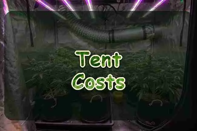 Setup Costs for a Cannabis Growing Tent