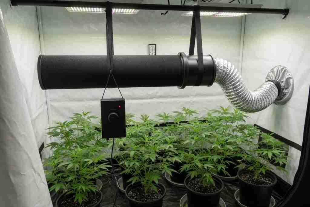 An inline fan and carbon filter hung in a tent, with a bent duct and a speed controller