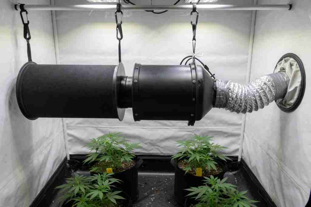 A carbon filter coupled to an inline fan, with a short duct leaving the grow tent