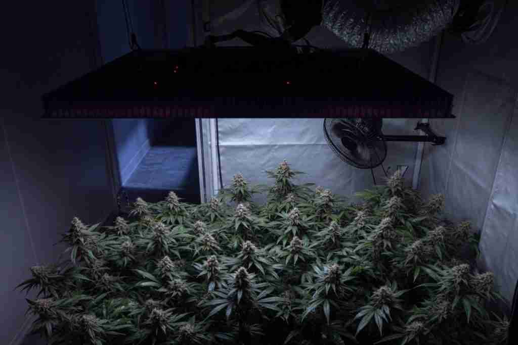 A grow tent with the lamp off, the circulation fan still running, and the exhaust duct still connected