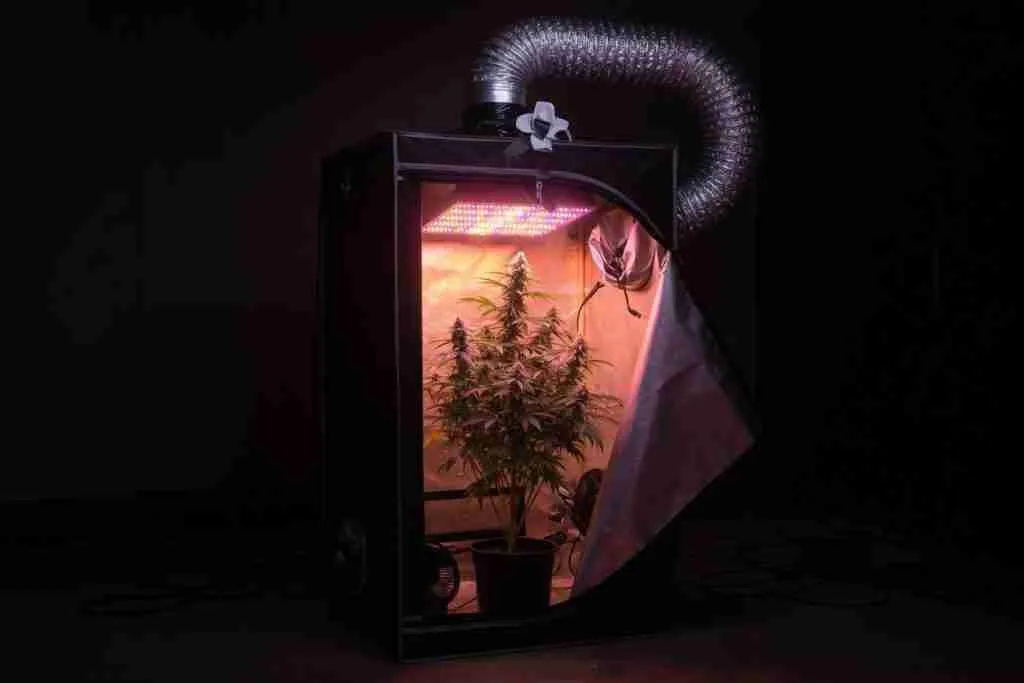 A grow tent lit at night with ducting on top